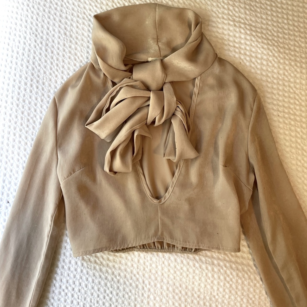 Elegant satin beige crop top